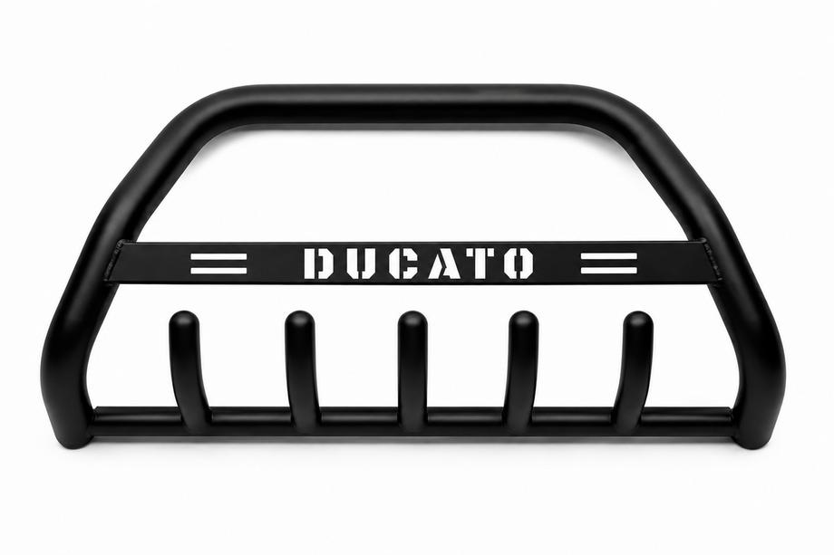 Fiat Ducato 1995-2006 Frontbügel WT004 Schwarz (Edelstahl) Image