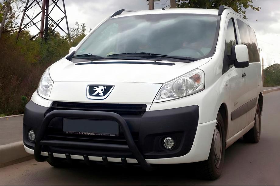 Citroen Jumpy 2007–2017 Frontbügel WT003 Schwarz Edelstahl Image