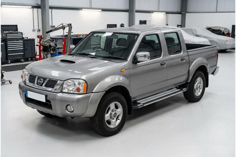 Nissan NP300 1999-2015 Trittbretter Rainbow (2 Stk., Aluminium) Image