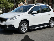 Peugeot 2008 2013-2019 Trittbretter Rainbow (2 Stk., Aluminium) Foto 1