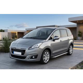 Seitenschweller Line (2 Stk., Aluminium) Peugeot 5008 2009-2016 Foto 1