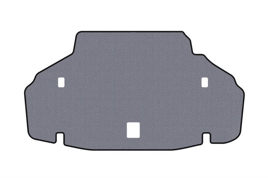Lexus LS 2007-2017 Gummimatte für Kofferraum Carsuit (2007-2010, SD, Langversion, grau) Foto 1