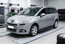 Peugeot 5008 2009-2016 Seitenschweller Bosphorus Black (2 Stk., Aluminium) Foto 1