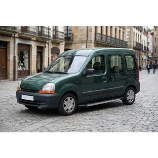 Trittbretter Duru (2 Stk., Aluminium) Renault Kangoo 1998-2008 Foto 1
