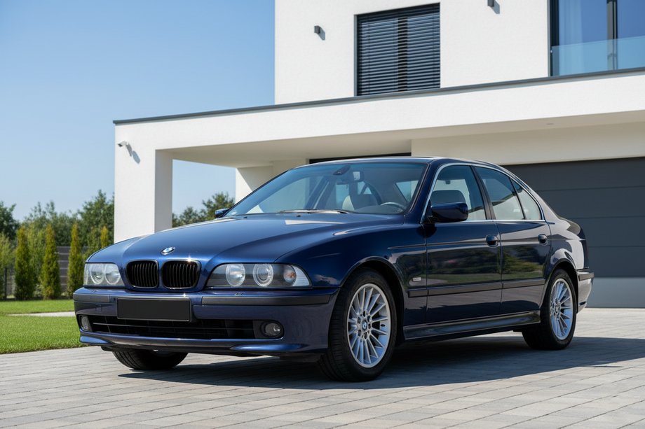 BMW 5 Series E39 1996-2003 Nieren 1-Bar (2000-2003, Schwarz Glanz) Foto 1