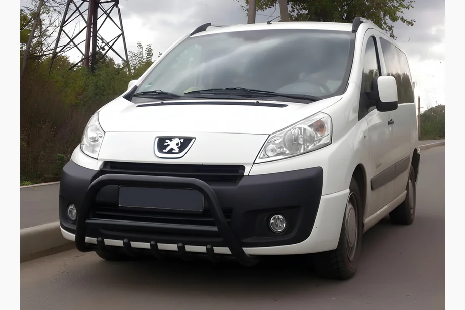 Citroen Jumpy 2007–2017 Frontbügel WT003 Schwarz Edelstahl Image