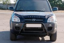 Hyundai Tucson JM 2004- Frontbügel WT025 Schwarz (Edelstahl) Foto 3