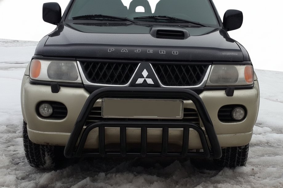 Mitsubishi Pajero Sport 1996-2007 Frontbügel WT002 Schwarz (Edelstahl) Image