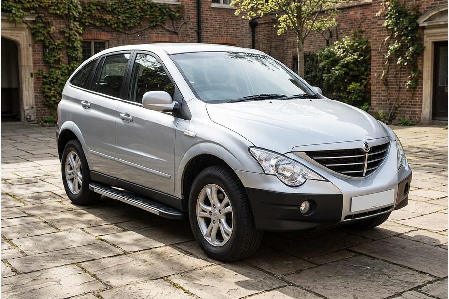 SsangYong Action 2005-2018 Trittbretter Duru (2 Stk., Aluminium) Image