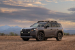 Toyota RAV4 Woodland im Test: Abenteuerlicher Hybrid-Crossover Foto 1