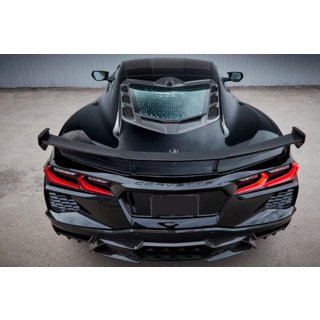 LRT-Design Carbon Bodykit Foto 4