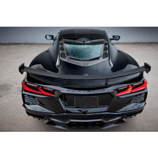 LRT-Design Carbon Bodykit Foto 4