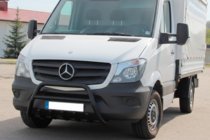 Mercedes Sprinter W906 2006–2018 Frontbügel WT003 (schwarz) Foto 2