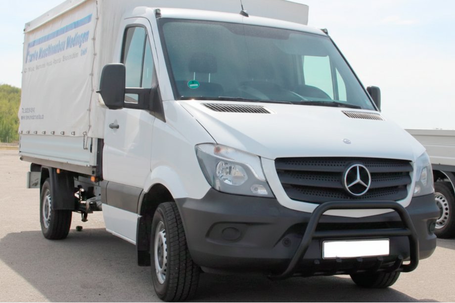 Mercedes Sprinter W906 2006–2018 Frontbügel WT003 (schwarz) Image