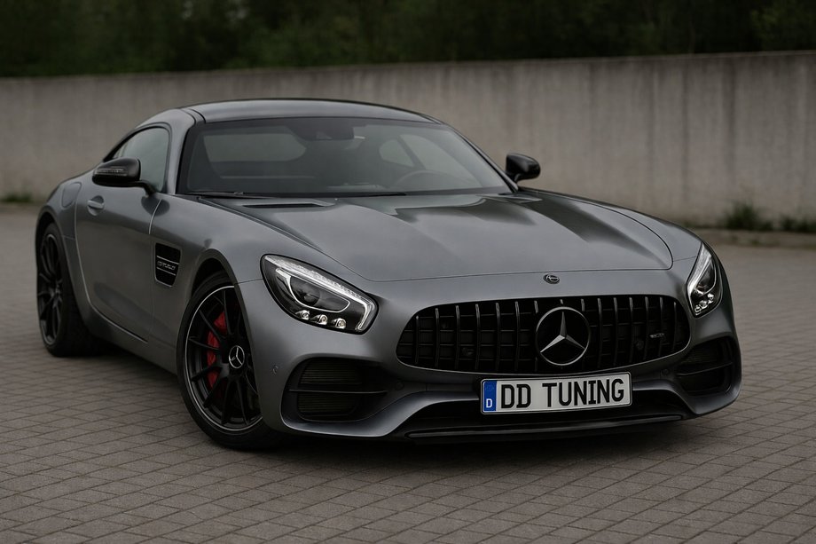 Mercedes AMG GT C190/R190 2014-2022 Frontgrill GT Panamericana Black (2014-2017) Image