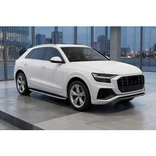 Seitenschweller Tayga Grey (2 Stk., Aluminium) Audi Q8 2018- Foto 1