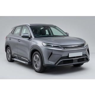 Seitliche Trittbretter Allmond Grey (2 Stk., Aluminium) Foto 1