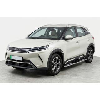 Seitliche Trittbretter Tayga V2 (2 Stk., Aluminium) Foto 1
