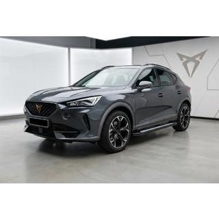 Seitliche Trittbretter Tayga V2 (2 Stk., Aluminium) Foto 1