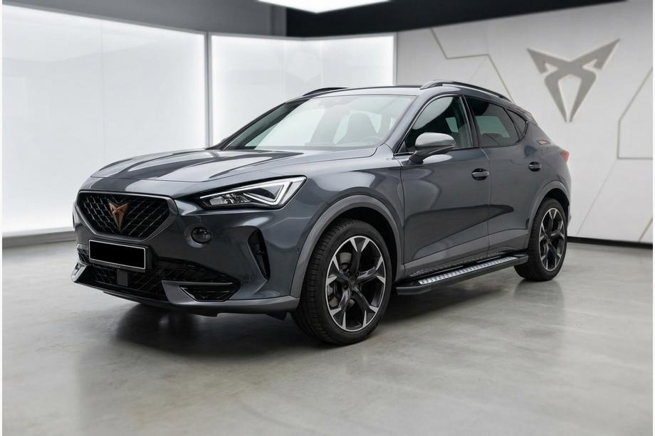 Cupra Formentor 2020- Seitliche Trittbretter Tayga V2 (2 Stk., Aluminium) Image