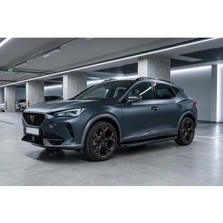 Seitenschweller Tayga Black (2 Stk., Aluminium) Foto 1