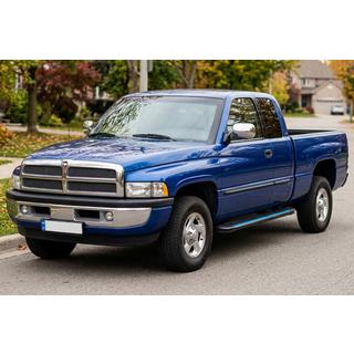 Trittbretter Maya Blue (2 Stk., Aluminium) Dodge RAM (BR/BE) 1994–2002 Foto 1