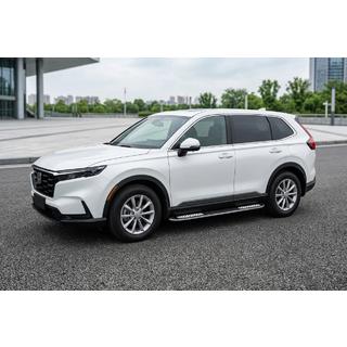 Seitliche Trittbretter Tayga V2 (2 Stk., Aluminium) Foto 1