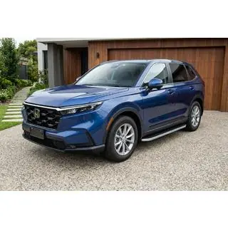 Seitliche Trittbretter Tayga Grey (2 Stk., Aluminium) Foto 1