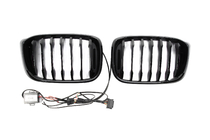 BMW X4 G02 2018- Nierengitter 1 Bar LED (2018-2021, Schwarz Hochglanz) Foto 6