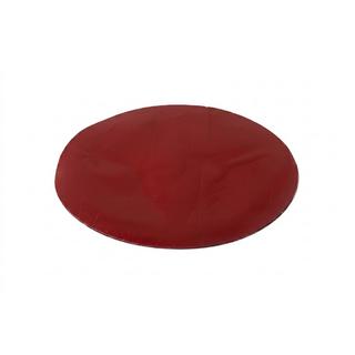 Heckemblem ohne Glas V5 (17 cm x 12,5 cm) Foto 2