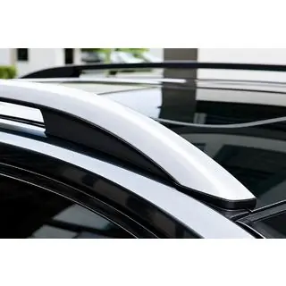 Dachreling grau OEM (Aluminium) Foto 1