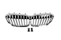 BMW 7 Series G11/G12 2015-2022 Nierengrills 1 Steg (2019-2022, Chrome) Foto 2
