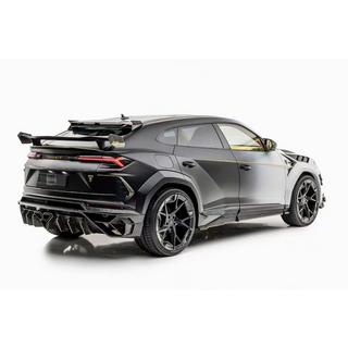MNSR DRY Carbon Bodykit-Set mit Abgasanlage (für 2018-2022) Foto 3