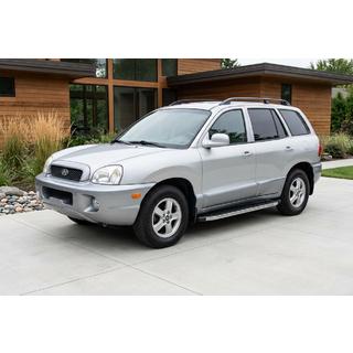 Trittbretter BlackLine (2 Stk, Aluminium) Hyundai Santa Fe 1 2000-2006 Foto 1