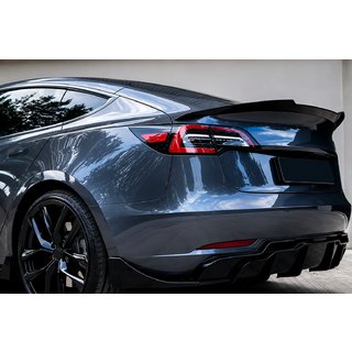 Fast Spoiler (für 2017-2023) Foto 4