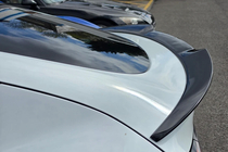 Tesla Model Y 2020- Fast Spoiler (für 2020-2024) Foto 1