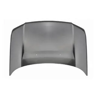 Motorhaube (2010)