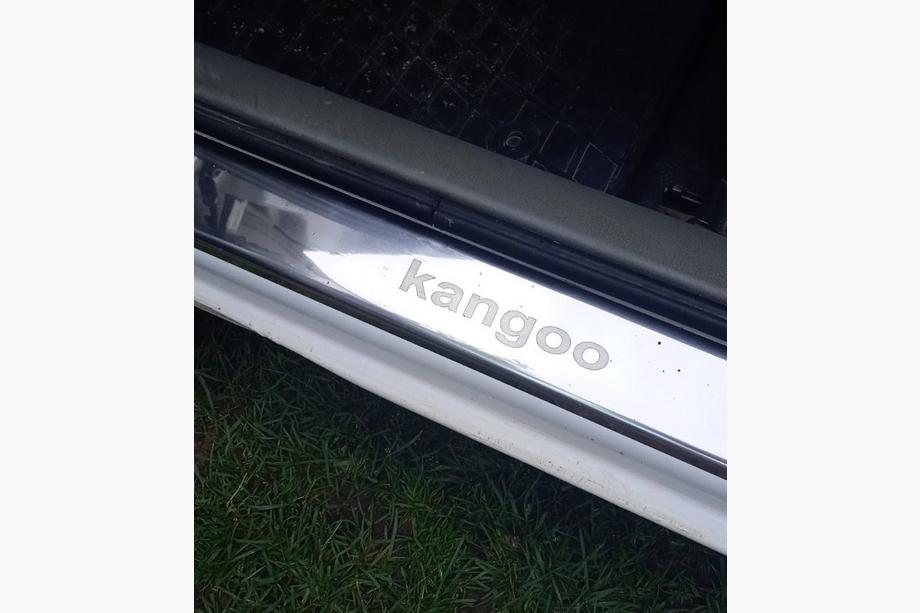 Renault Kangoo 1998-2008 Einstiegsleisten Carmos V1 Edelstahl Foto 2