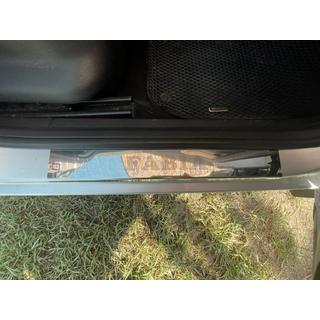 Einstiegsleisten Carmos (4 Stk., Edelstahl)