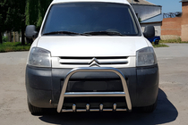 Citroen Berlingo 1996-2008 Frontbügel WT003 Edelstahl Foto 1