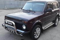 Lada Niva та Urban 1977- Frontbügel QT006 (Edelstahl) Foto 3