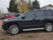 Toyota Land Cruiser Prado 150 2009-2023 Schwellerrohre BB004 (2 Stk, Edelstahl) Foto 7