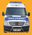 Mercedes Sprinter W906 2006–2018 Frontbügel WT003-Plus (Edelstahl) Foto 7