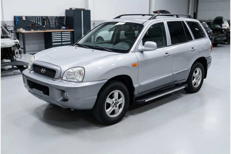 Hyundai Santa Fe 1 2000-2006 Seitenschweller Maya V1 (2 Stk., Aluminium) Image