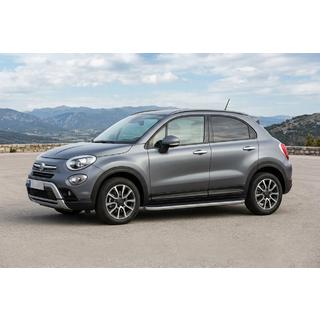 Seitenschweller Tayga Grey (2 Stk., Aluminium) Foto 1