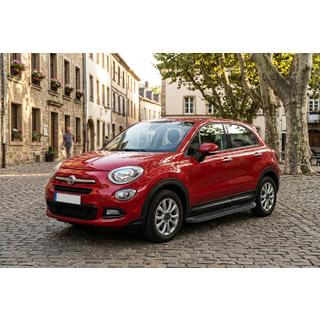 Seitenschweller Tayga Black (2 Stk., Aluminium) Foto 1