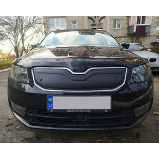 Winterabdeckung für Kühlergrill (2013-2017)