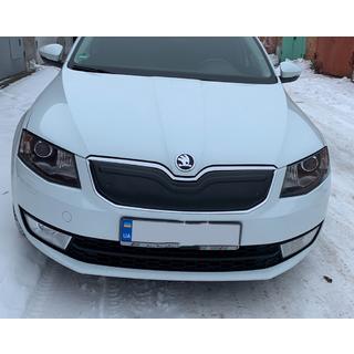 Winterabdeckung für Kühlergrill (2013-2017) Skoda Octavia III A7 2013-2019 Foto 2
