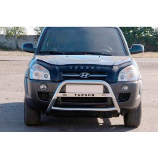 Frontbügel WT025 (Edelstahl) Hyundai Tucson JM 2004- Foto 1