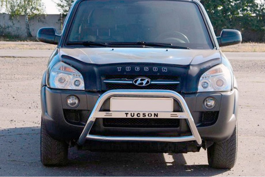 Hyundai Tucson JM 2004- Frontbügel WT025 (Edelstahl) Image
